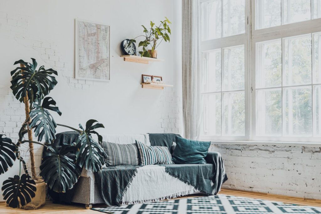 Bright living room with plants